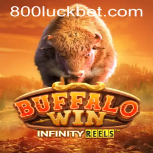 BuffaloWin: Discover the Exciting World of Gaming with 800luck